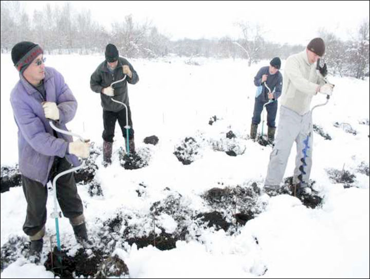 Coming soon: 'Chateau Permafrost', wine from Siberia