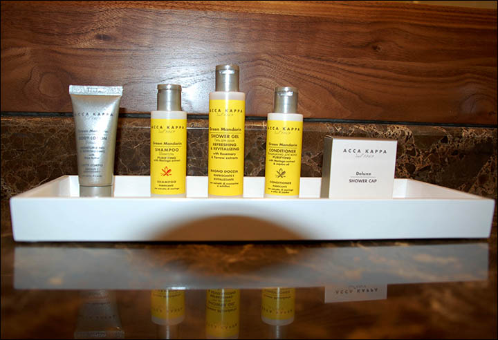 Our night together at Siberia's first 5-star top international brand hotel
