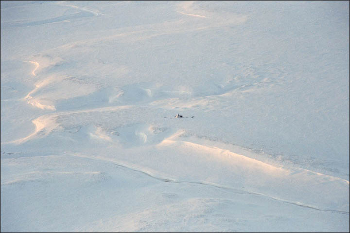 Salekhard - Arctic capital of Russia becoming the bridge between Europe and Asia