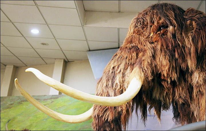Mammoth museum Yakutsk