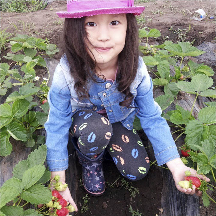 Strawberry in Yakutia