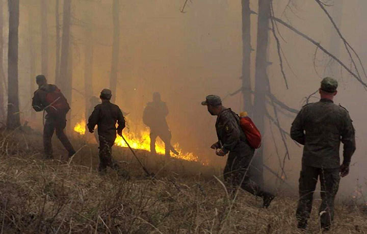 Wildfires ‘critical’ in Siberia and Russian Far East, up to ten times worse than last year