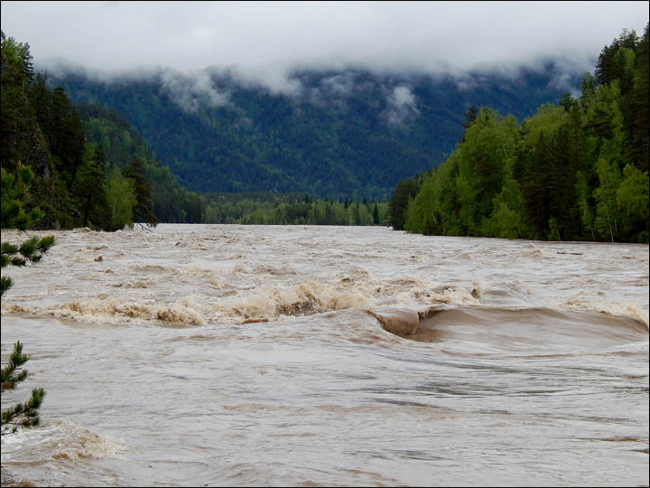 Flooding in Altai in 2014
