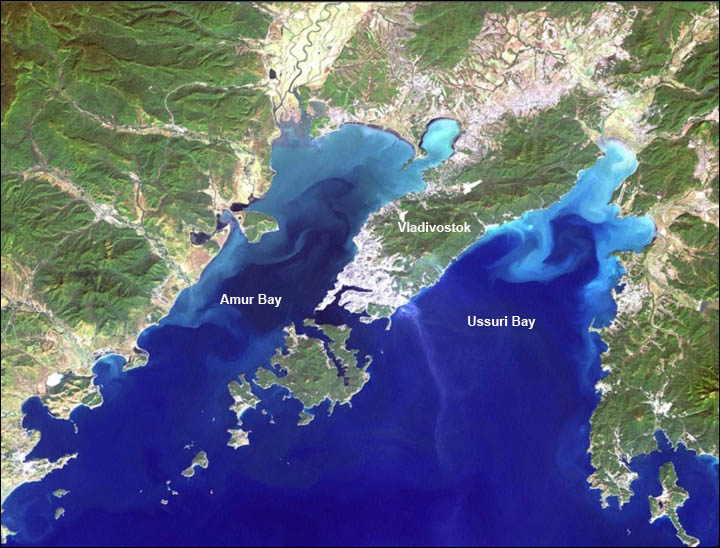 Amur Bay polluted