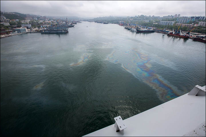 Amur Bay polluted