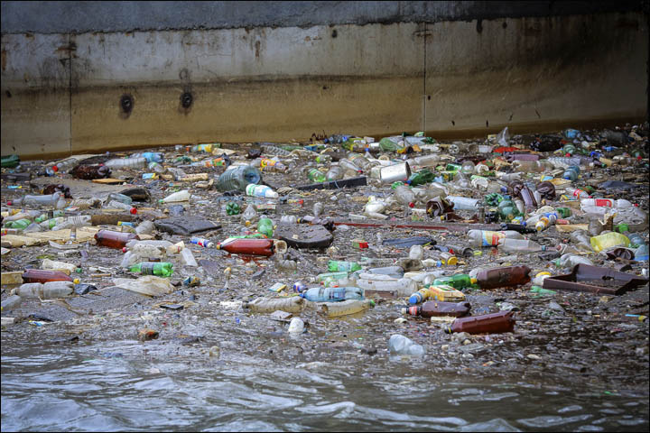 Amur Bay polluted