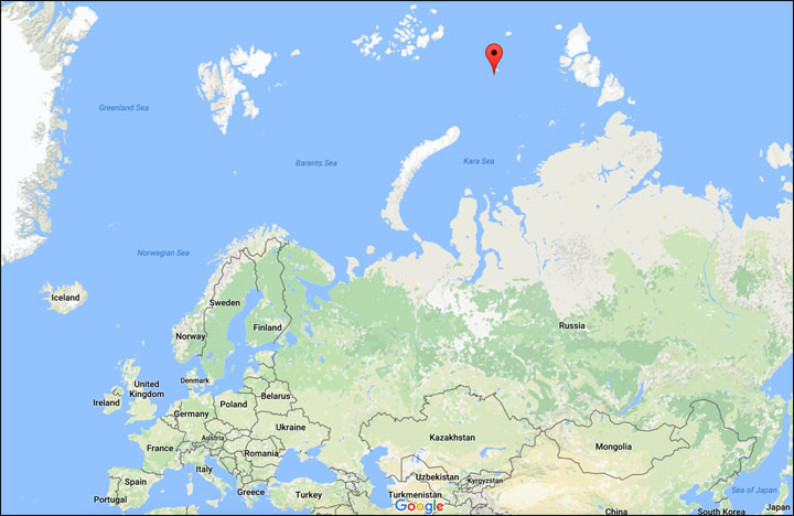 The increase in temperature of the air and the sea's surface, along with the reduction of  ice and extension of the time the water is 'open' are the consequences 'of climate change in northern latitudes', says WWF.