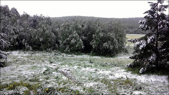 Snow on trees in Chelyabinsk region