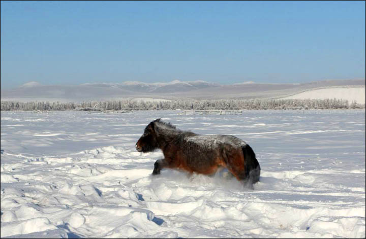 Amazing pictures of Dekabrina, born in minus 62C in the coldest village in the world.  