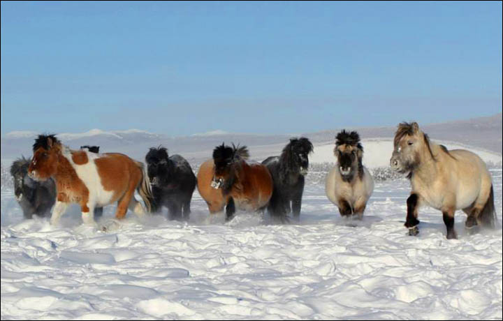 Amazing pictures of Dekabrina, born in minus 62C in the coldest village in the world.  