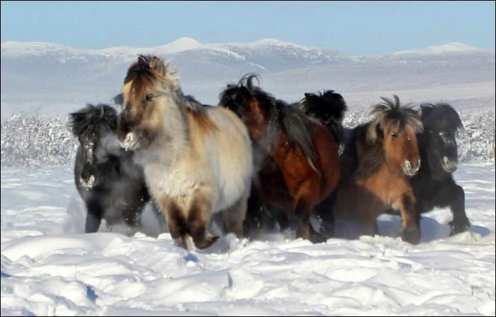 Amazing pictures of Dekabrina, born in minus 62C in the coldest village in the world.  