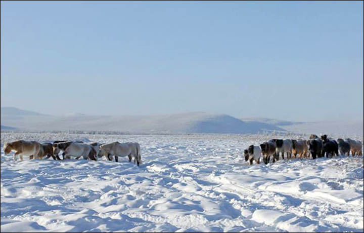 Amazing pictures of Dekabrina, born in minus 62C in the coldest village in the world.  