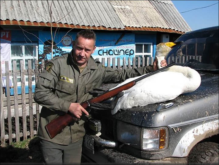 Gotovchikov with swan