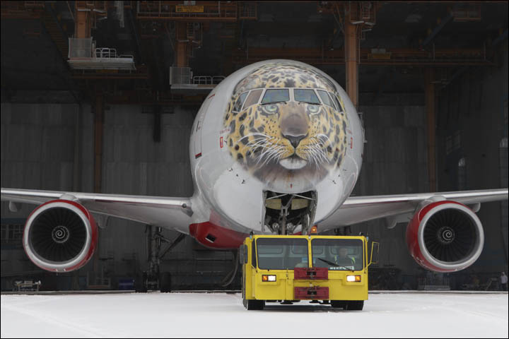 Leojet