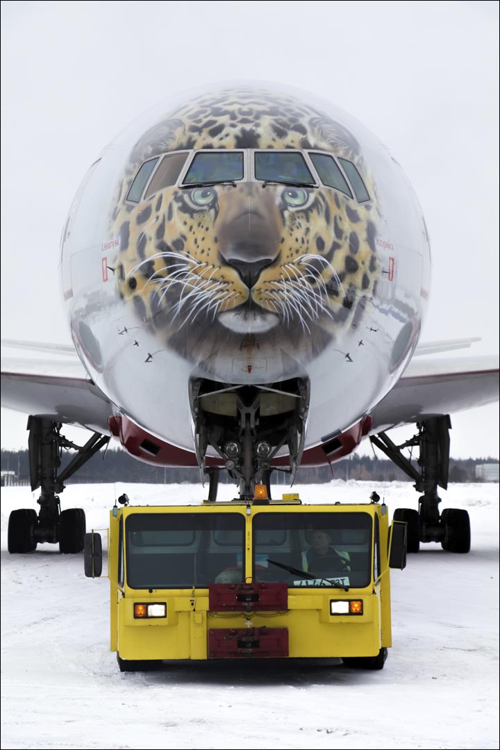 Leojet