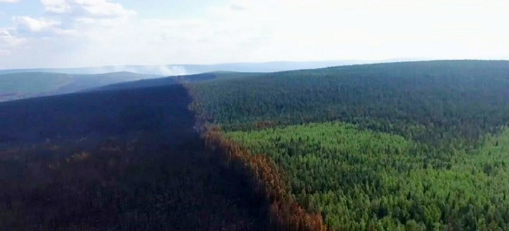 Consequences of fires in Irkutsk region