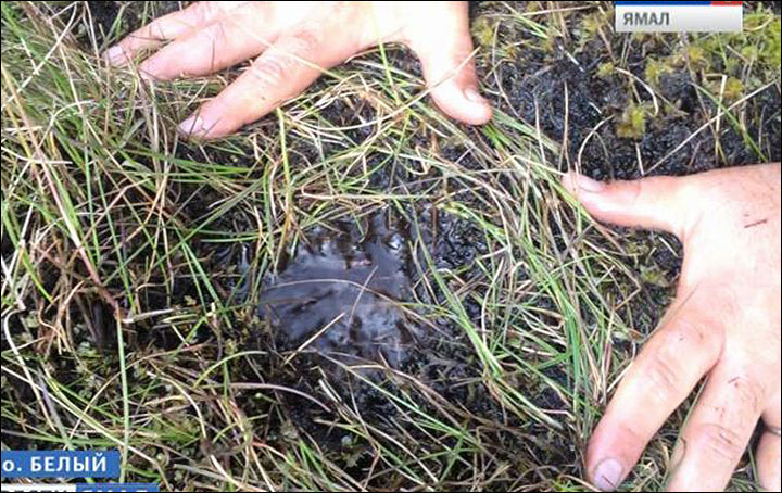 Trembling tundra - the latest weird phenomenon in Siberia's land of craters