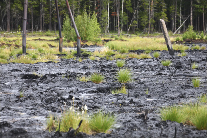 Oil spills in Siberia