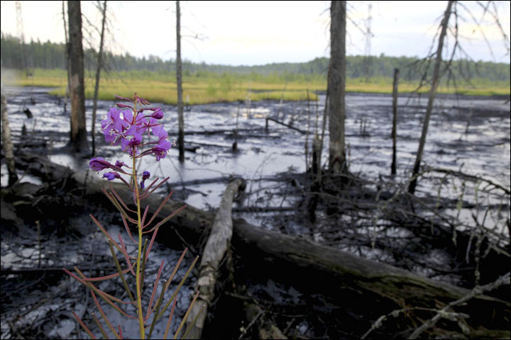 Oil spills in Siberia