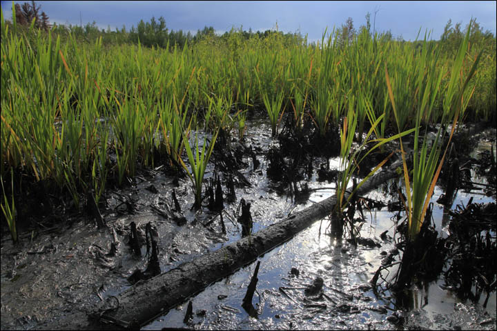 Oil spills in Siberia