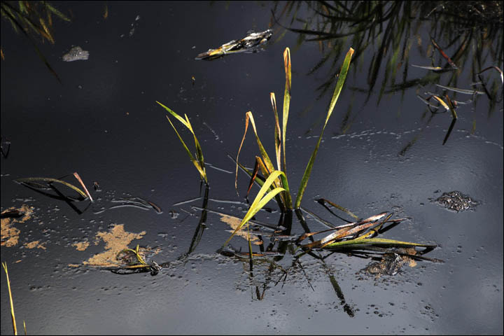 Oil spills in Siberia