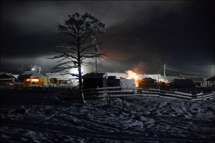 Wolves preying on reindeer herds threaten seasonal joy in remote Siberian villages  