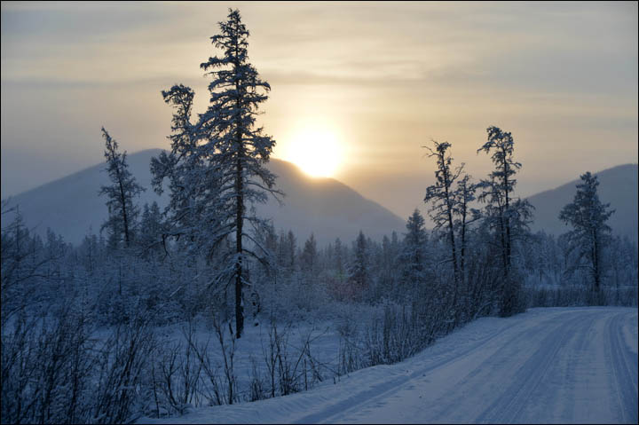 Wolves preying on reindeer herds threaten seasonal joy in remote Siberian villages  