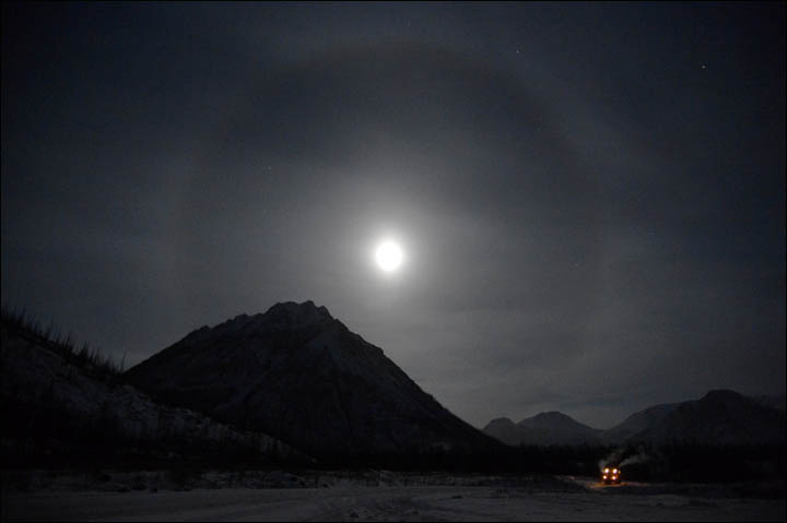 Wolves preying on reindeer herds threaten seasonal joy in remote Siberian villages  