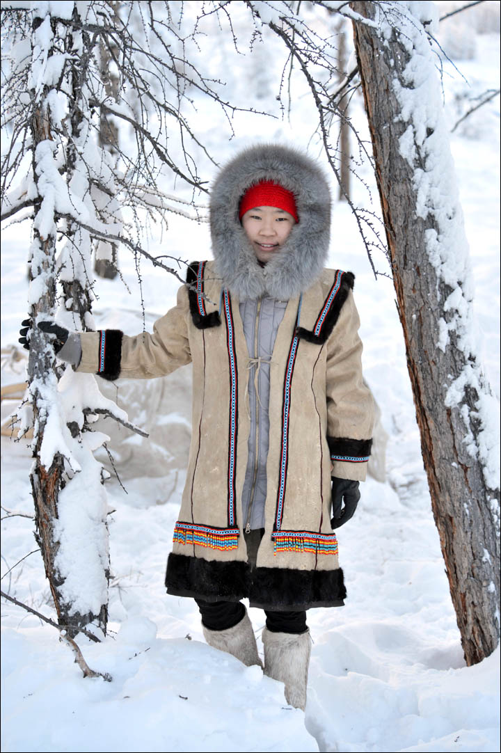 Wolves preying on reindeer herds threaten seasonal joy in remote Siberian villages  