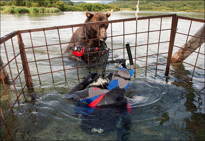 Sergey Gorshkov wildlife photography
