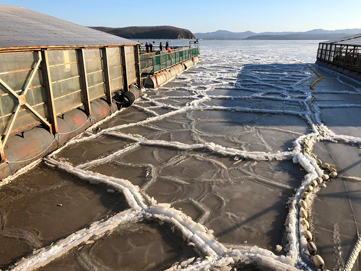 Whale jail in Nakhodka