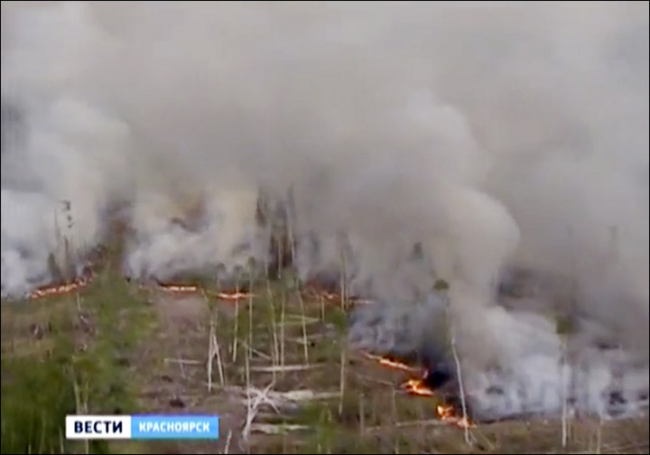 Wildfires in Krasnoyarsk region