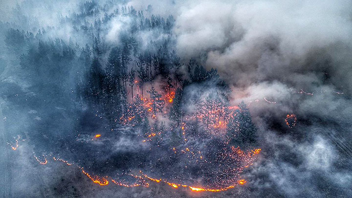 2019 to be ‘worst-ever year’ for wildfires in Siberia and ‘only rain can now extinguish flames’