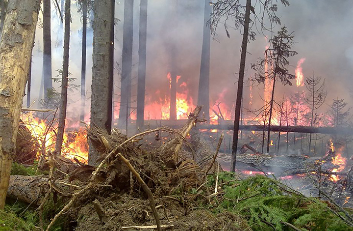 2019 to be ‘worst-ever year’ for wildfires in Siberia and ‘only rain can now extinguish flames’