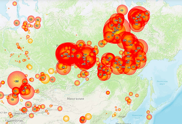 2019 to be ‘worst-ever year’ for wildfires in Siberia and ‘only rain can now extinguish flames’
