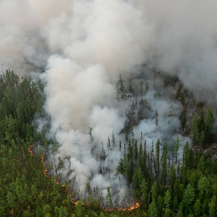 2019 to be ‘worst-ever year’ for wildfires in Siberia and ‘only rain can now extinguish flames’