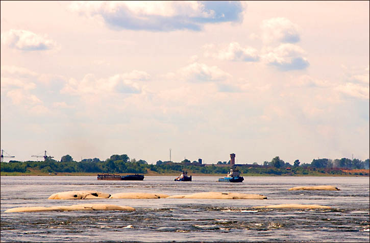 river Angara, tributuary of Yenisei, Western Siberia