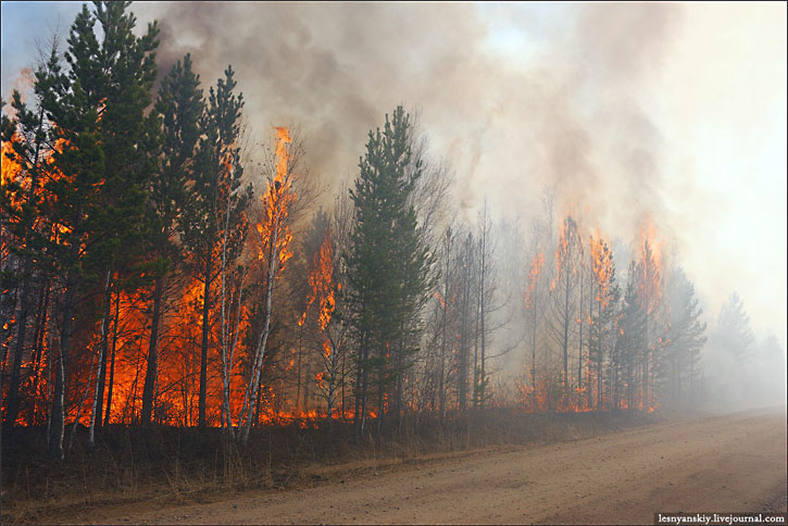 wildfires, Siberia