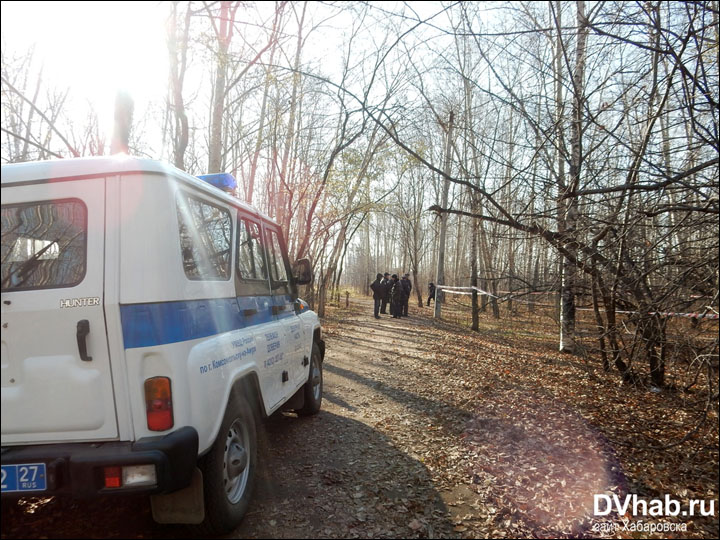 Police arrest 16 year old boy after man's beheaded body found in park
