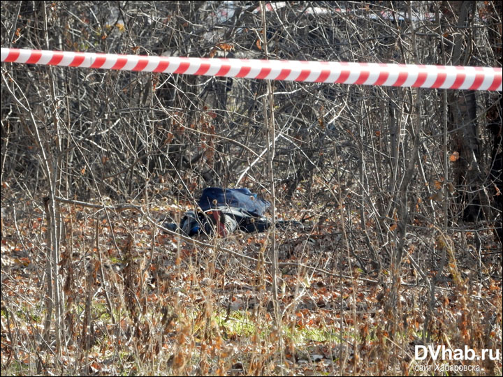 Police arrest 16 year old boy after man's beheaded body found in park