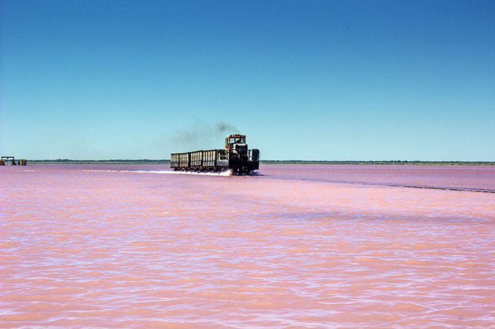 Pink lake