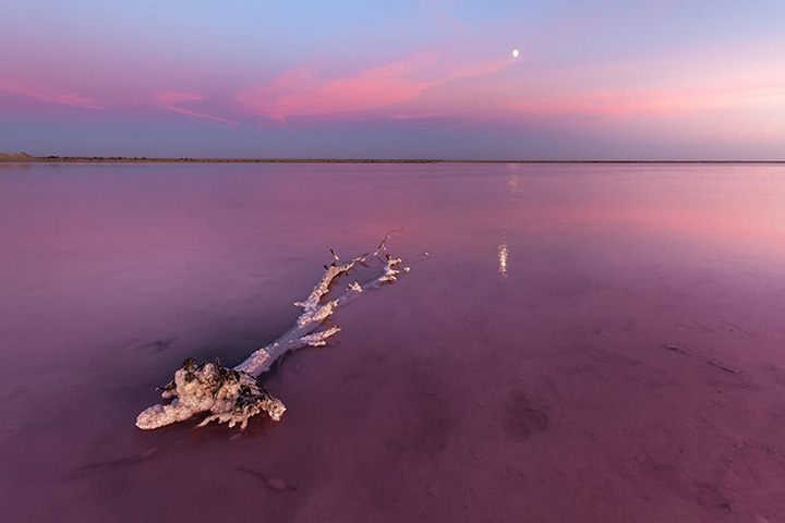 Pink lake