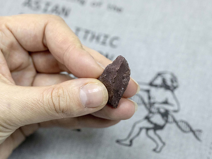 Treasure trove of Palaeolithic jewellery, made at least 45,000 years ago, found in  Denisova Cave  