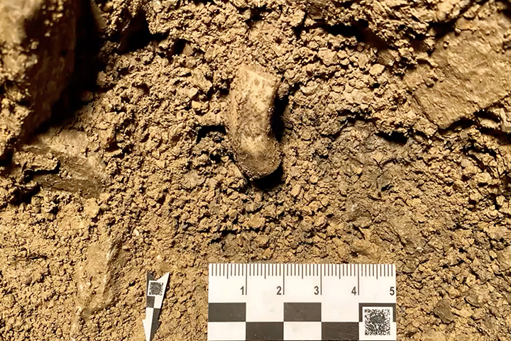 Treasure trove of Palaeolithic jewellery, made at least 45,000 years ago, found in  Denisova Cave  