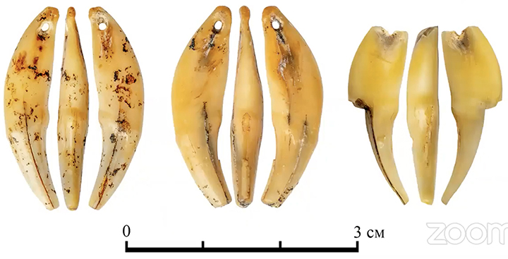 Treasure trove of Palaeolithic jewellery, made at least 45,000 years ago, found in  Denisova Cave  