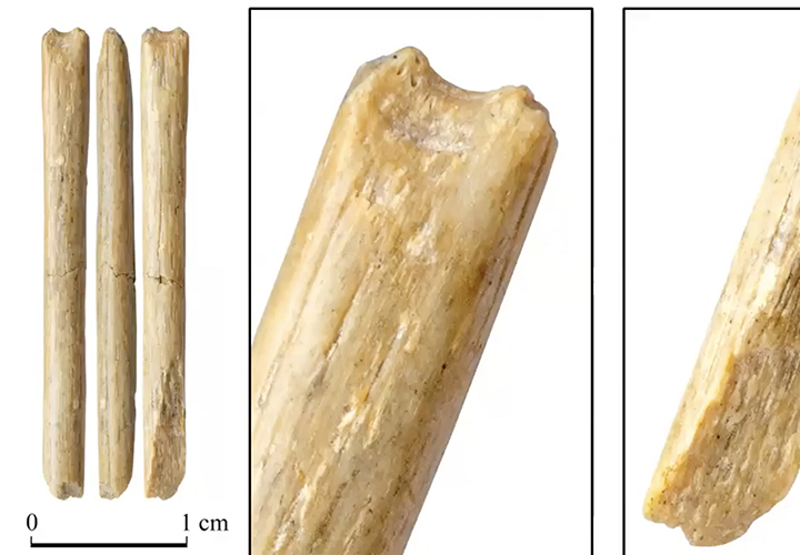 Treasure trove of Palaeolithic jewellery, made at least 45,000 years ago, found in  Denisova Cave  