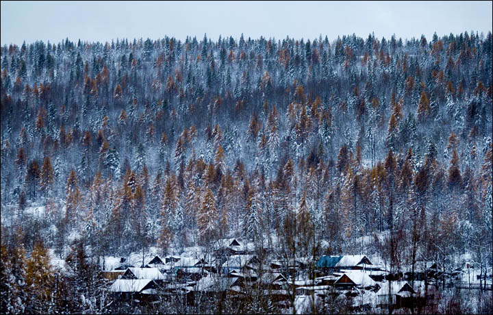 Korean in Siberia