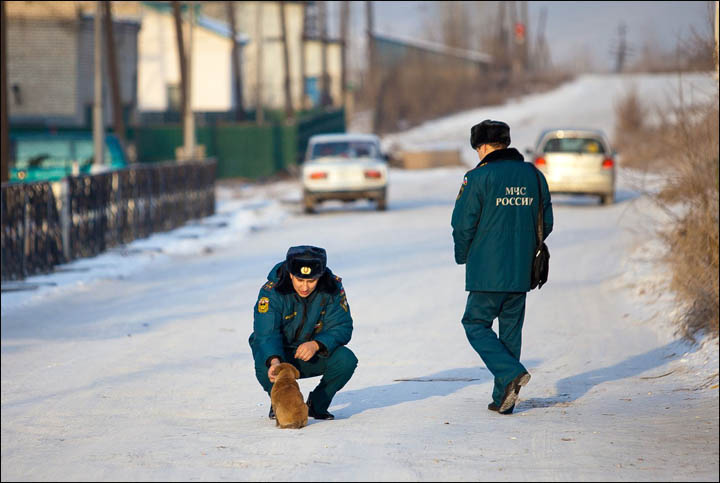 Korean in Siberia