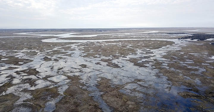 World’s northernmost Palaeolithic settlement found on Kotelny island in the Arctic