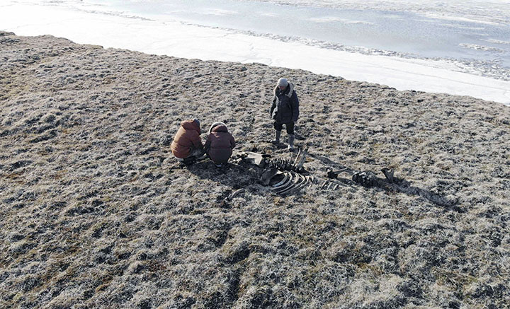 World’s northernmost Palaeolithic settlement found on Kotelny island in the Arctic